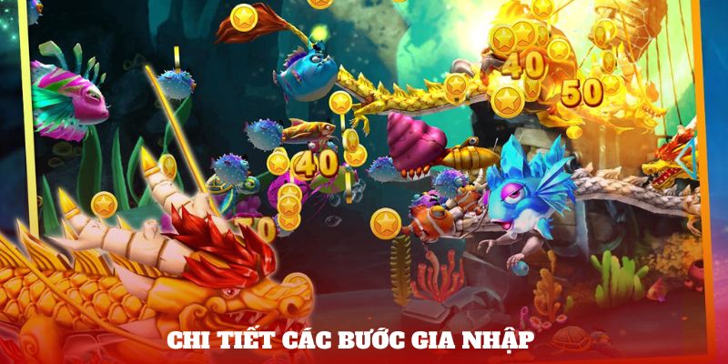 Chi tiết các bước gia nhập